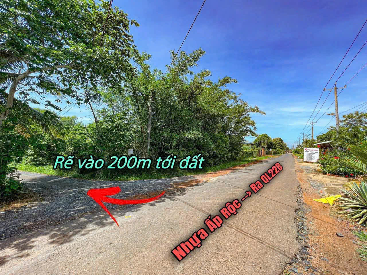 Dự án đất nền ấp rộc a thạnh đức gò dầu tây ninh - Ảnh 2